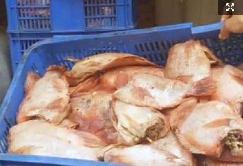 trường học, bắt nạt, đánh bạn, cá thối