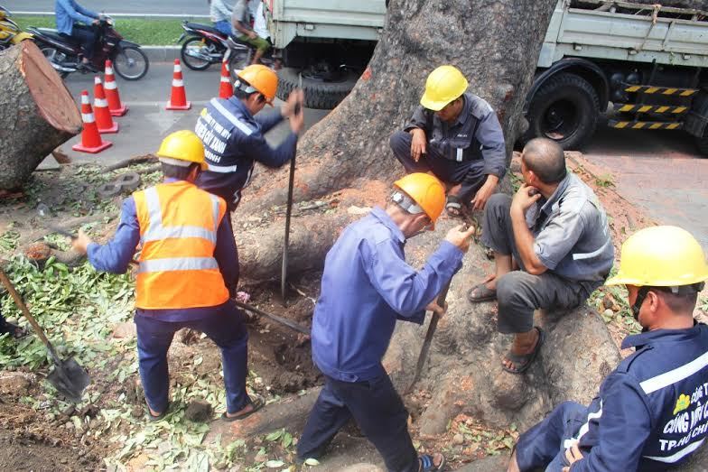 Bài học 'để đời' của các nước giàu