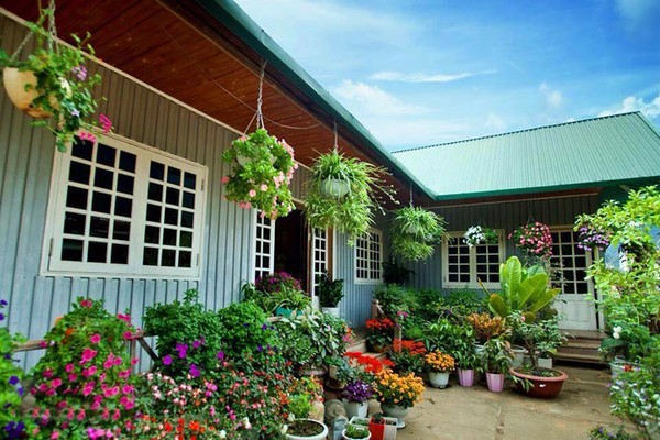 Mê mẩn ngôi nhà gỗ tràn ngập hoa trên cao nguyên đá Hà Giang