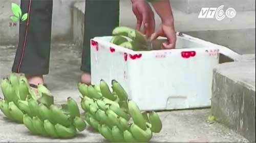 thúc-chín, trái-cây, gà-công-nghiệp, hóa-chất, cá, lợn, ăn-chay, xe-máy, công-sở, xăng-dầu, diện, tăng-giá, xếp-hàng