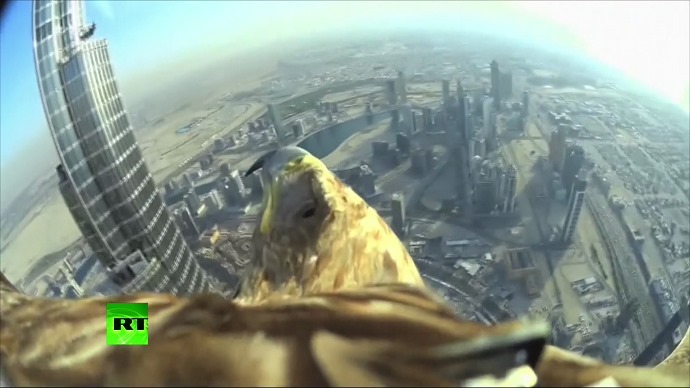 Ngắm thành phố Dubai trên cánh đại bàng