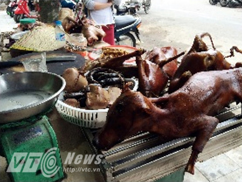 thịt-chó