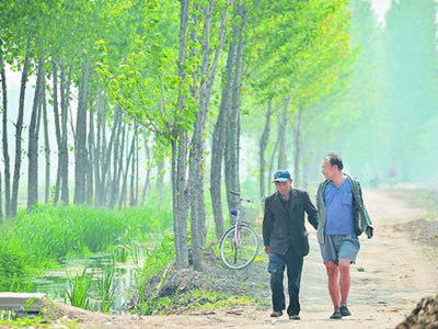 cây xanh, khiếm thị