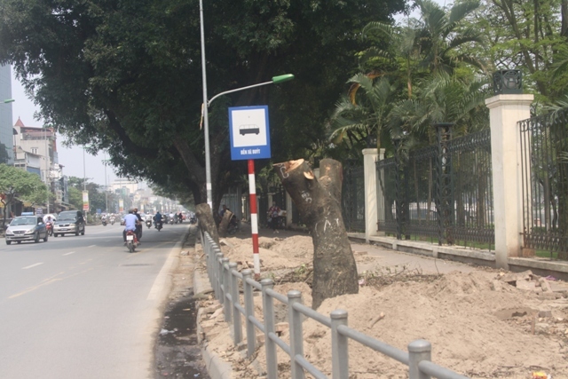 cây xanh, Hà Nội, công cộng, Sở Xây dựng...