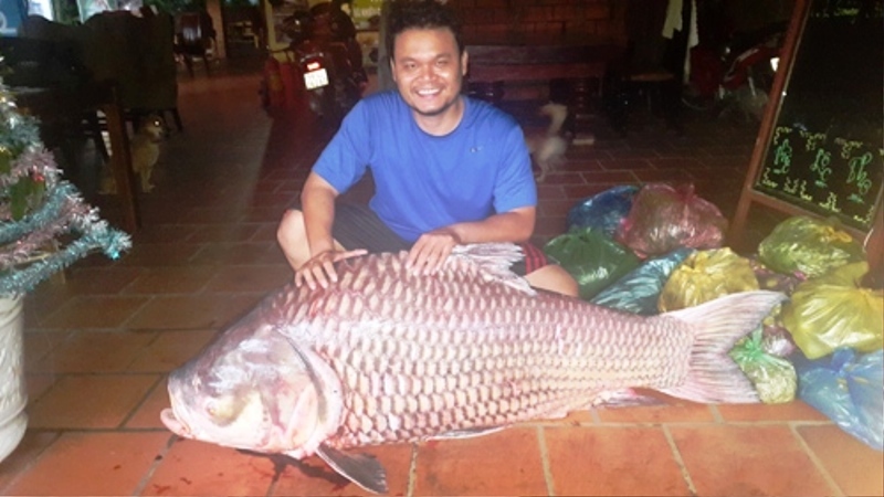 Ngư dân bắt được cá hô 135kg trên sông Mê Kông