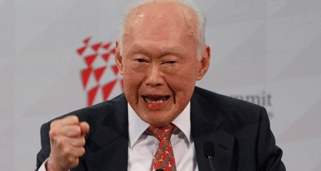 Lý Quang Diệu, giáo dục, Việt Nam