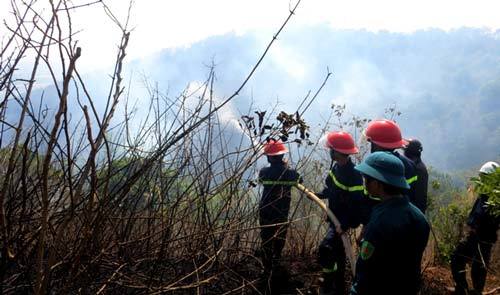 Gia Lai: Hơn 200 người chữa cháy rừng trên đỉnh Hàm Rồng