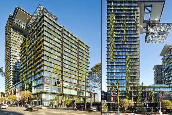 Choáng với chính sách tặng cây cho dân của Sydney