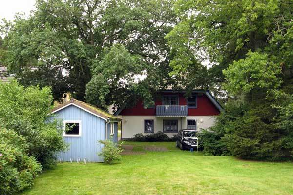 Chuyện không tưởng về cây xanh ở Đức