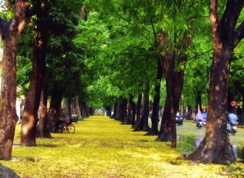 Rơi nước mắt với hồi ức 