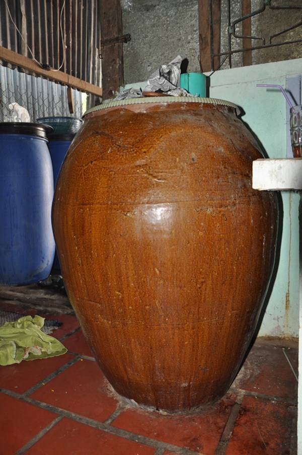 lời khai, 'nghịch tử', giết mẹ, giấu xác, lu nước, Kiên Giang