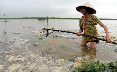 Dân lụt, quan nhậu... đúng quy trình