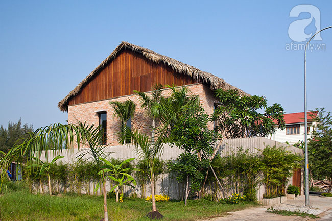 Độc đáo ngôi nhà mái lá gần gũi với thiên nhiên ở Sài Gòn