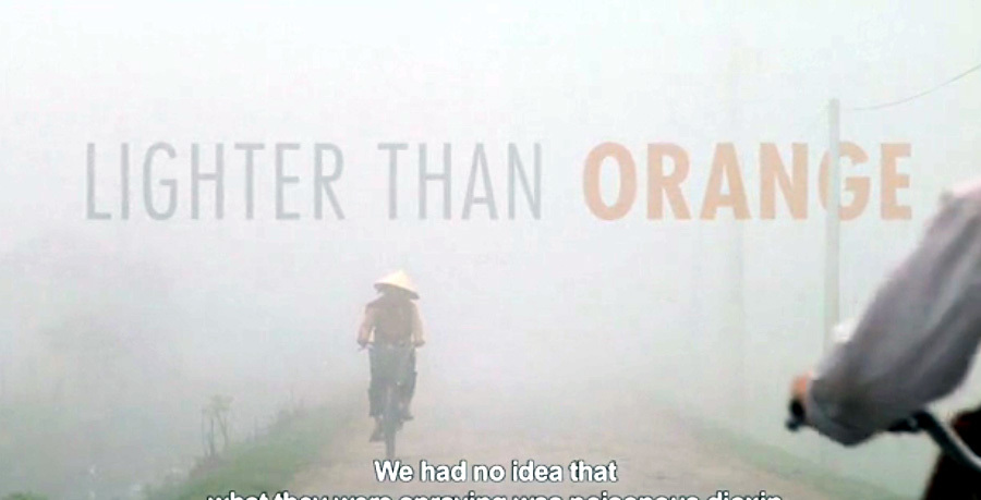 Đừng quên nạn nhân chất độc da cam Việt Nam!