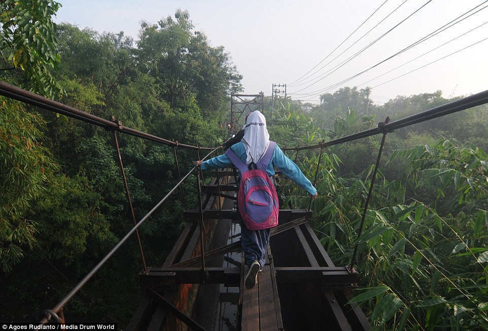 cầu, học sinh, xe đạp, Indonesia, nguy hiểm