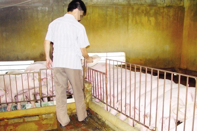 tăng trọng