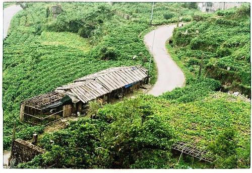 “Ngon, bổ, rẻ” với 2 ngày cuối tuần du hí Tam Đảo