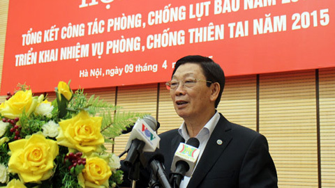 Chủ tịch HN: Không dừng việc chặt cây nguy hiểm