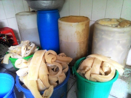 Rùng mình với cảnh bì lợn bẩn ngâm hóa chất ở Sài Gòn
