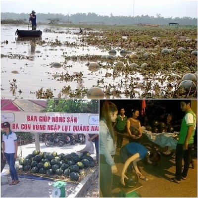 Tiền người Việt giúp nhau, nhiều không kể xiết