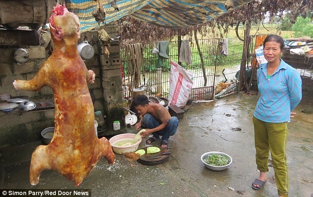 Một ngày trong quán 'tiểu hổ' tại Việt Nam lên báo Anh