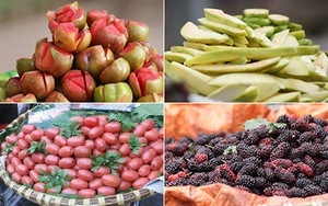 Những quả chua đặc sản ngon 