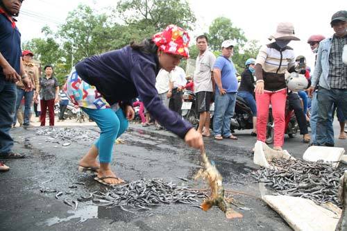 Dân đổ cá, tôm hùm chết ra QL1A để phản đối ô nhiễm