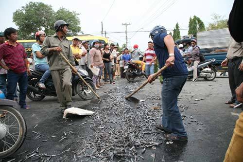 phản đối, ô nhiễm, Khánh Hòa, ùn tắc, hút cát, thiệt hại, cá chết, Vịnh Cam Ranh, thỏa thuận