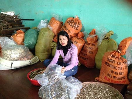 Bài thuốc chữa bệnh khớp, mỡ máu và mất ngủ hiệu quả