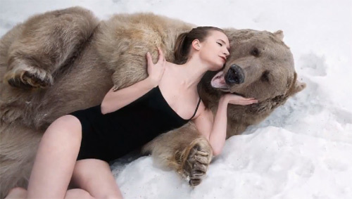 Cô gái liều ôm gấu 