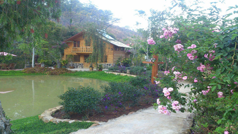 Nghỉ lễ bỏ qua resort, đưa con vào rừng 'đi bụi'