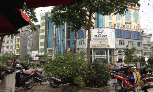 Hoảng hồn hàng trăm con ong 