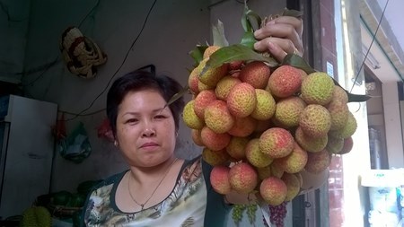 Hà Nội: Vải đầu mùa 'hét' 90.000 đồng/kg