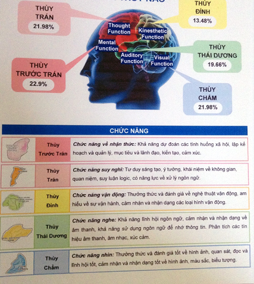 Tốn bạc triệu sinh trắc vân tay đoán vận mạng cho con