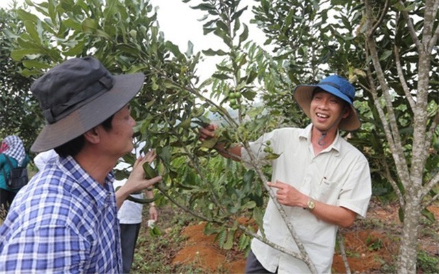 16.600 tỷ đồng đầu tư vào Tây Nguyên