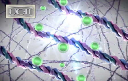 Chăm sóc sụn khớp, níu chậm thoái hóa khớp