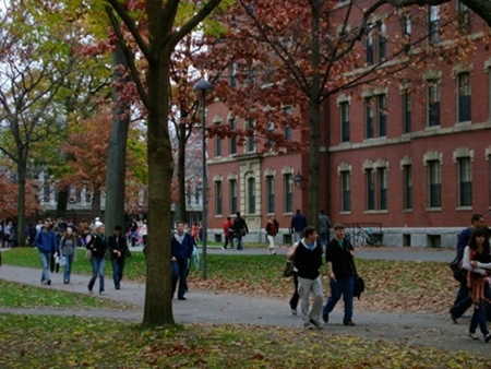 ĐH Harvard có nguy cơ bị kiện vì phân biệt đối xử