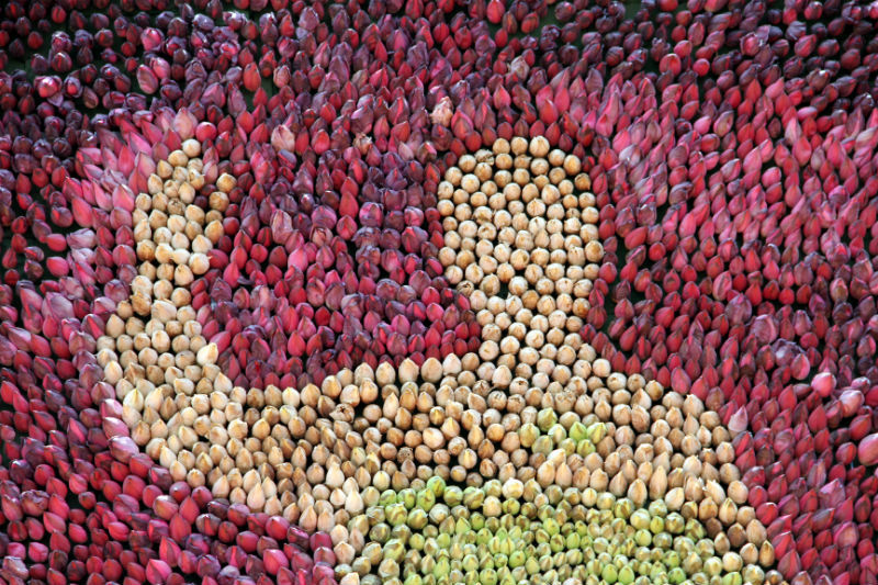 Bác Hồ; bức tranh; kỷ lục