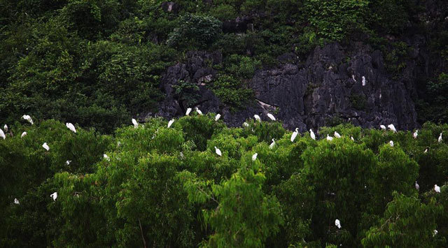 đầm Vân Long, Ninh Bình