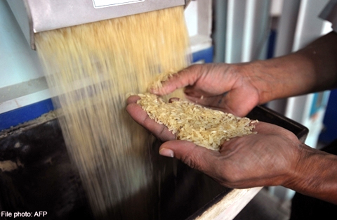 Tin gạo nhựa giả lan tràn ở Malaysia là bịa đặt