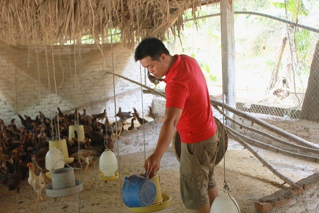 8X treo bằng đại học, lên núi làm trang trại thu 7 tỷ