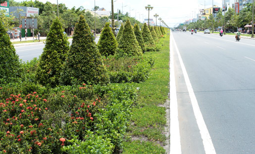 Thời sự tuần qua: Chi tiền 'khủng' để chăm cây xanh