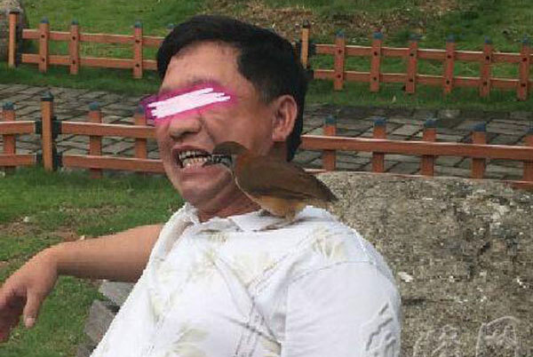 Bị chỉ trích vì dùng chim để xỉa răng