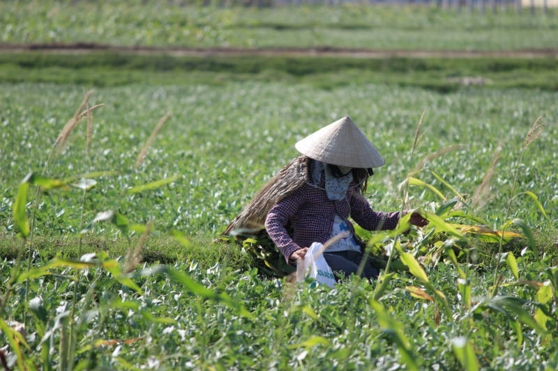 'Thần hộ vệ' giúp dân chống chọi nắng nóng 40 độ