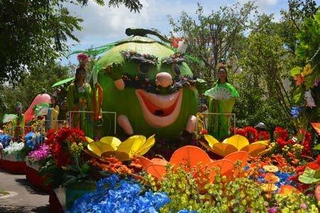 Chợ nổi ‘Tứ linh bách quả’ ở Suối Tiên hè 2015