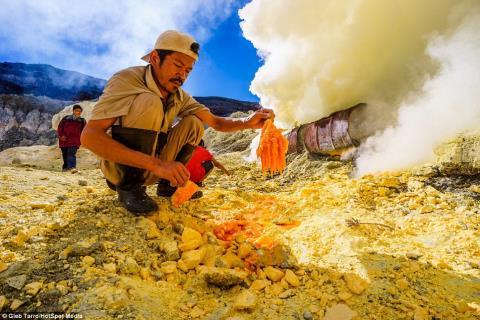 Nghề tồi tệ nhất thế giới: Mưu sinh trên miệng núi lửa tìm chất độc