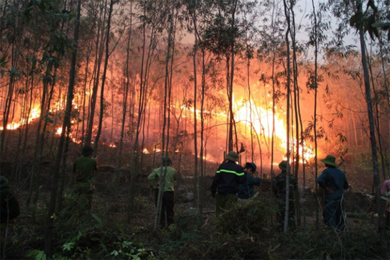 Cháy rừng ở Thanh Hóa: Di dân khẩn cấp