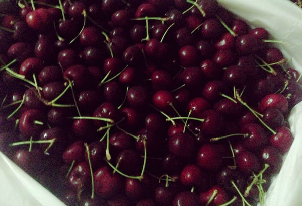 Cherry Úc không còn bán ở Việt Nam