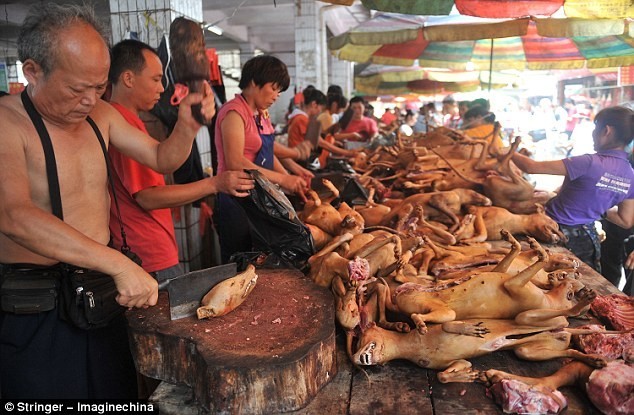 Giết thịt hàng ngàn con chó để phục vụ hội làng