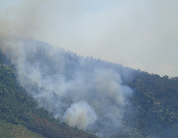 Nắng 40 độ, hơn 500 người chưa dập tắt được cháy rừng